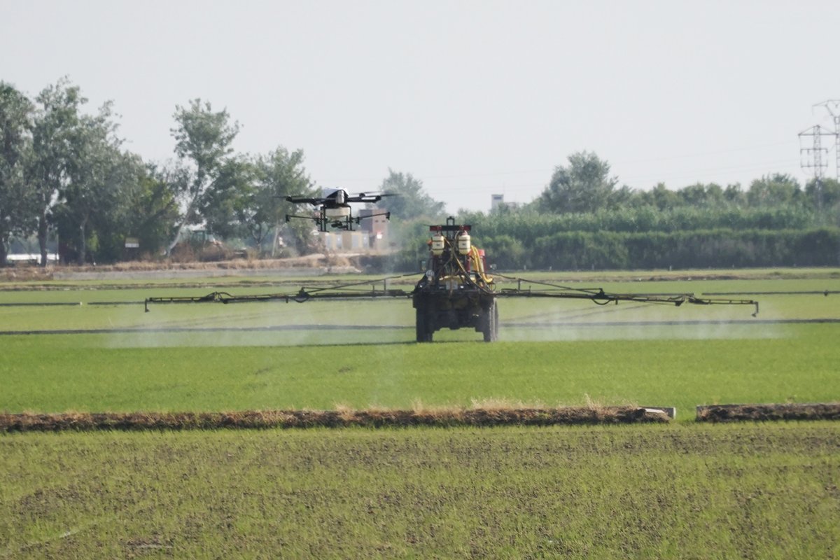 Quaternium tweet media