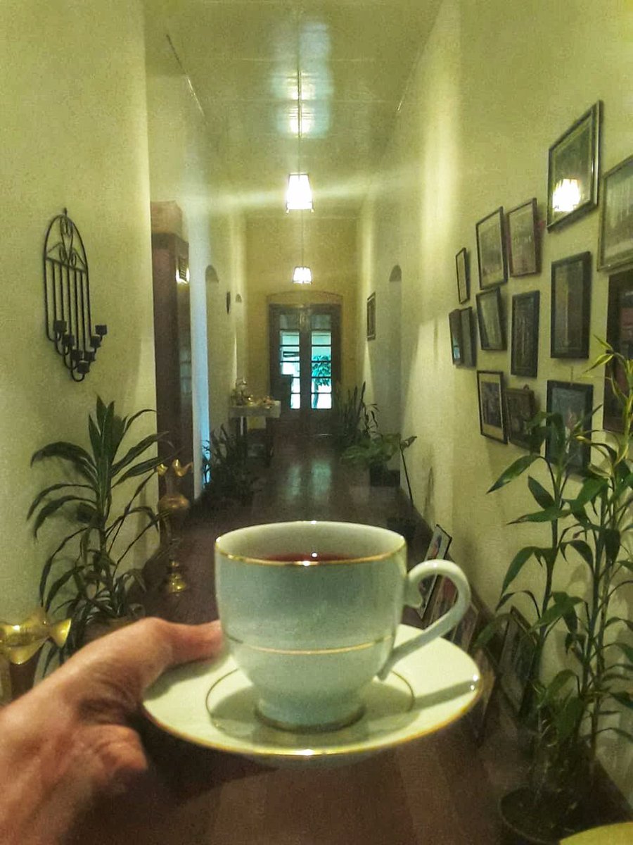 Tea made by mom always tastes better! 💚
.
.
.
#tea #teatime #tealover #teaaddict #teapeople #teatogethertuesday #teaathome #momstea #teainfluencer #teafluencer #ceylonteafluencer #teaandfoodpairing #teawitch #teafreak