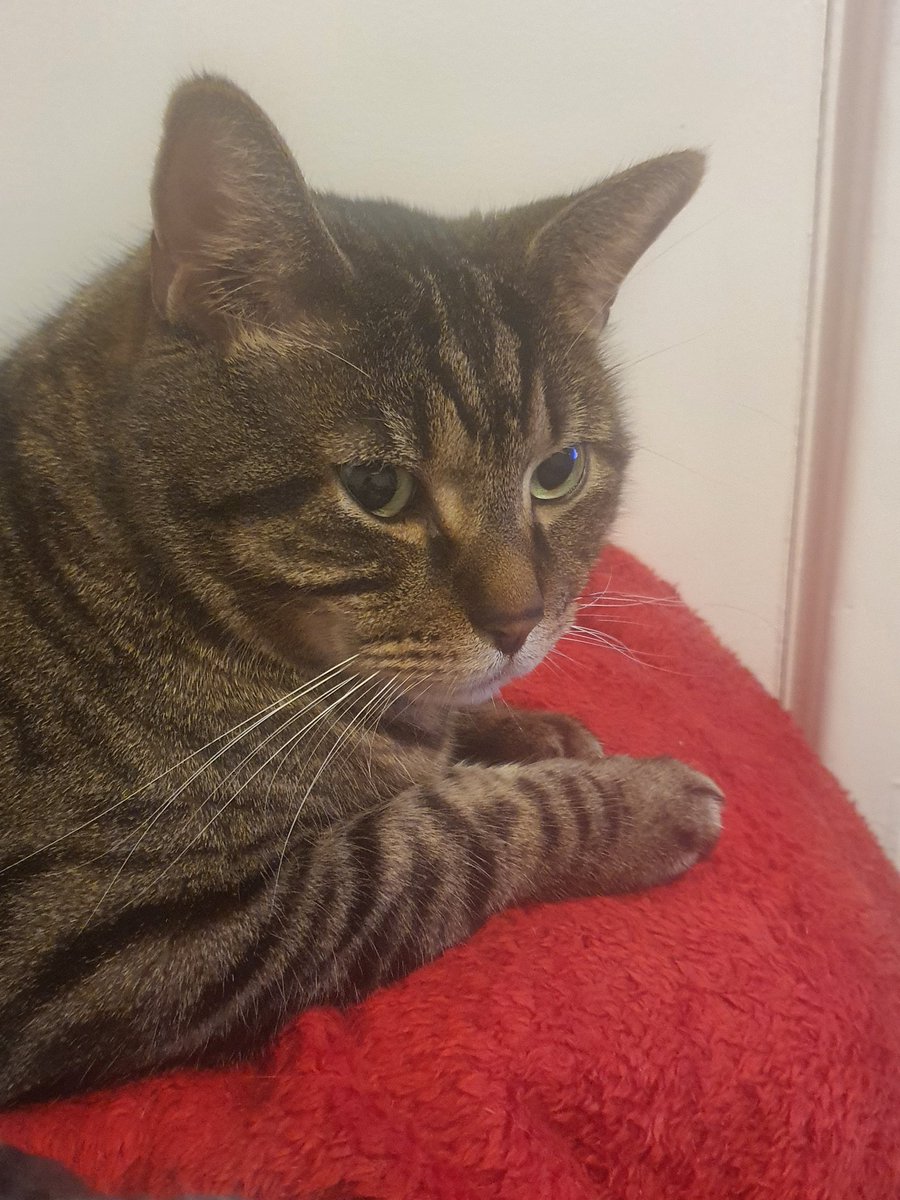 alichenn's tweet image. My boy