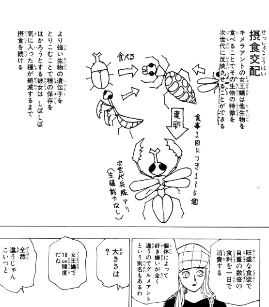 ハンターハンター キメラアント編が面白い あらすじやエピソードを紹介 2ページ目 Selvy