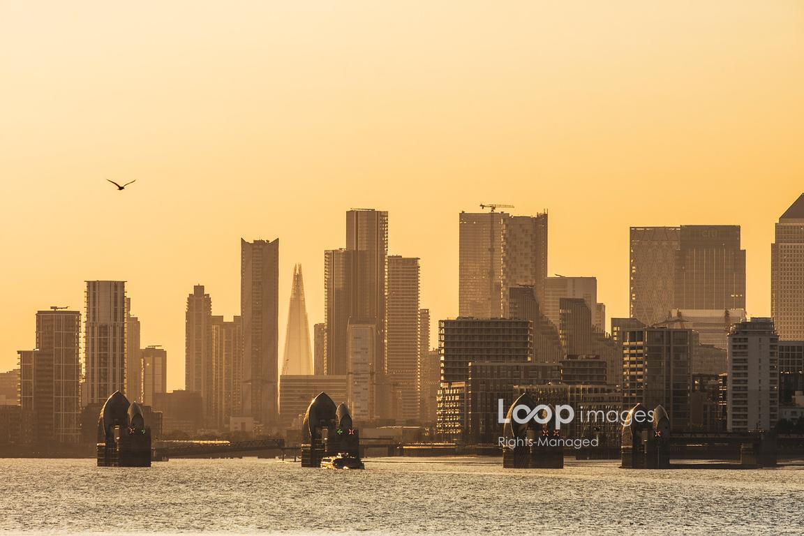 LoopImages tweet media