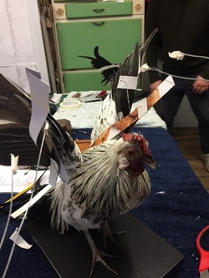 1. Social media can be an invaluable tool for engaging with collections. This study identified the key narratives within taxidermy collections and how these could be used to create engaging content on Twitter.  @Nat_SCA  #NatSCAConservation