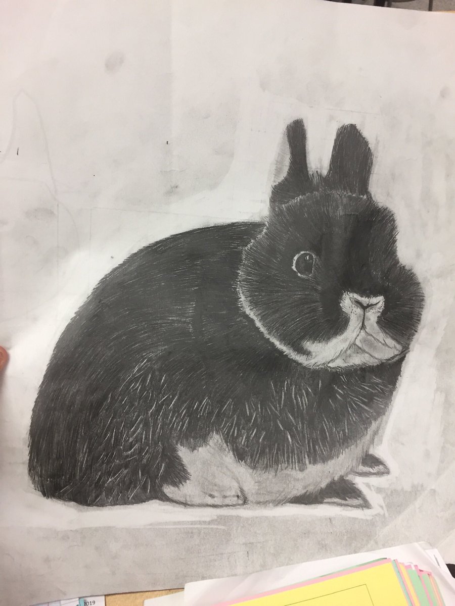 I drew a picture of my bunny. Turned out better than expected seeing as this is my very first animal. (I draw mainly landscapes and architecture, but never tried animals)