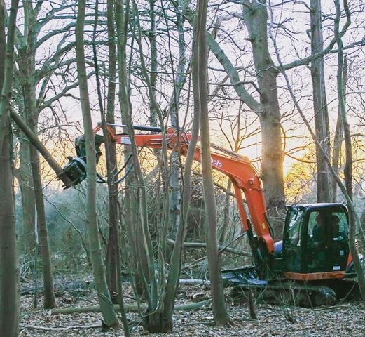 JasPWilson's tweet photo. Images courtesy of Josh Penrose of Penrose Contracting Ltd - East Sussex. His new JAK 250 tree shear at work on the Thinnings #treeshear #forestry #woodlandmanagement #jaktreeshear #woodfuel #timberextraction #firewood #timberharvesting #treework #treesurgeon #forestrycontractor https://t.co/n4Auae8eu0