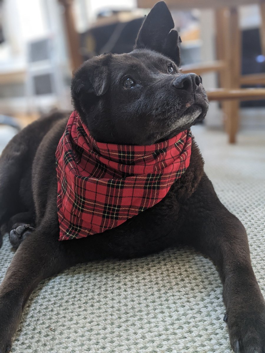 syd_akaYog's tweet photo. Don’t think of him as gone away –
his journey’s just begun,
life holds so many facets 
this earth is only one.
Just think of him as resting
from the sorrows and the tears
in a place of warmth and comfort
where there are no days and years. Will miss you bestie Linus @AmazingLinus https://t.co/jnHmgG0SIs