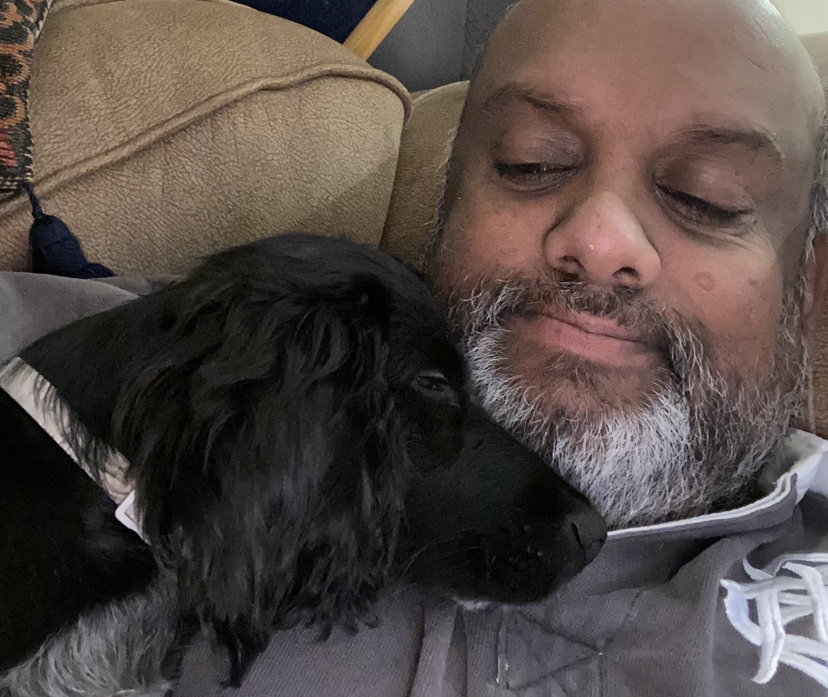 waltygb's tweet image. Getting pooch snuggles to help me recover from a crocked knee! #sofasnuggles   Have a good day everyone..