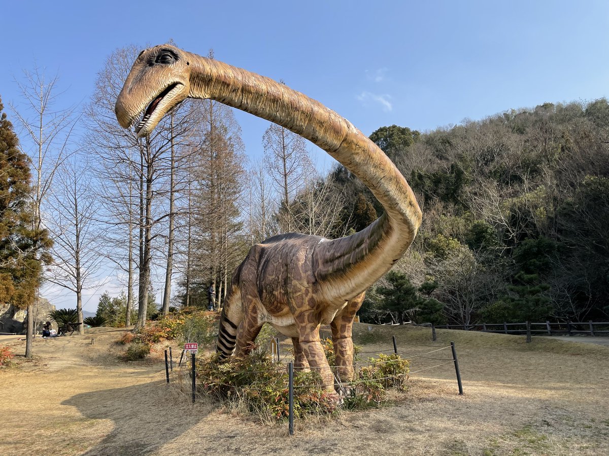O Xrhsths びんごライフ Sto Twitter 恐竜って大きいな そんな恐竜でも 地球にとってはちっぽけで あぁ 人間って小さい存在と改めて思う びんごライフ 笠岡市 恐竜公園 ティラノサウルス プテラノドン ティプロドクス T Co Nfk1bgqmhs T