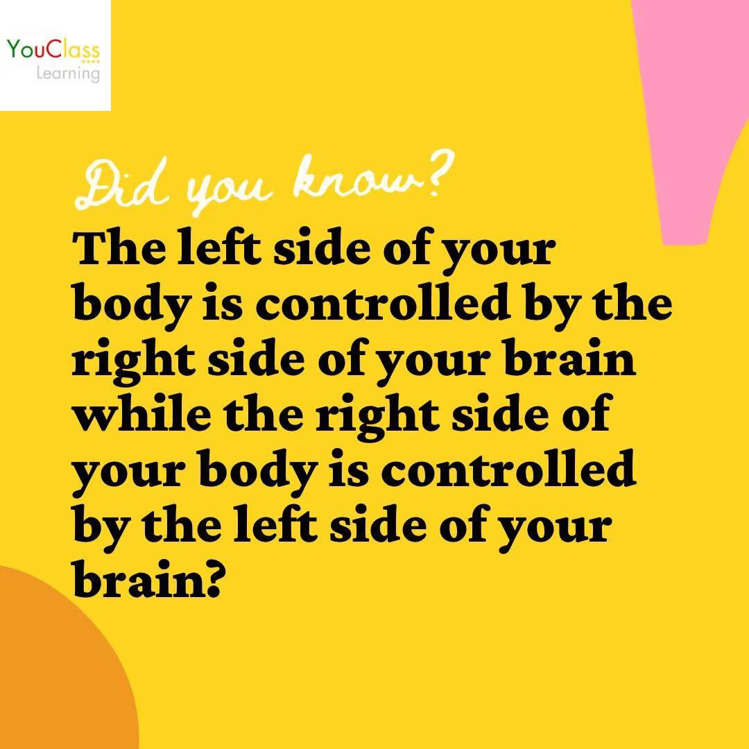 EiStudy's tweet image. Curiosity is the birthplace of learning, if a parent or teacher can harness the power of that curiosity, it is like riding a wave that already has momentum.

👇🏻Find out more on website👇🏻
 eistudy.com

Contact:
WeChat: eistudySGM
WhatsApp: +6591159074
Line: eistudy