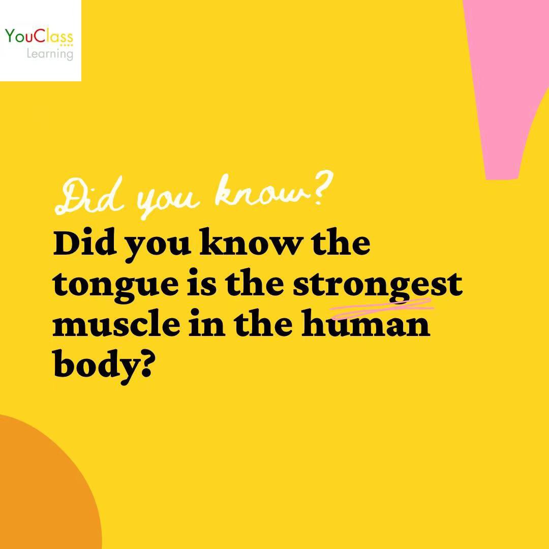 EiStudy's tweet image. Curiosity is the birthplace of learning, if a parent or teacher can harness the power of that curiosity, it is like riding a wave that already has momentum.

👇🏻Find out more on website👇🏻
 eistudy.com

Contact:
WeChat: eistudySGM
WhatsApp: +6591159074
Line: eistudy