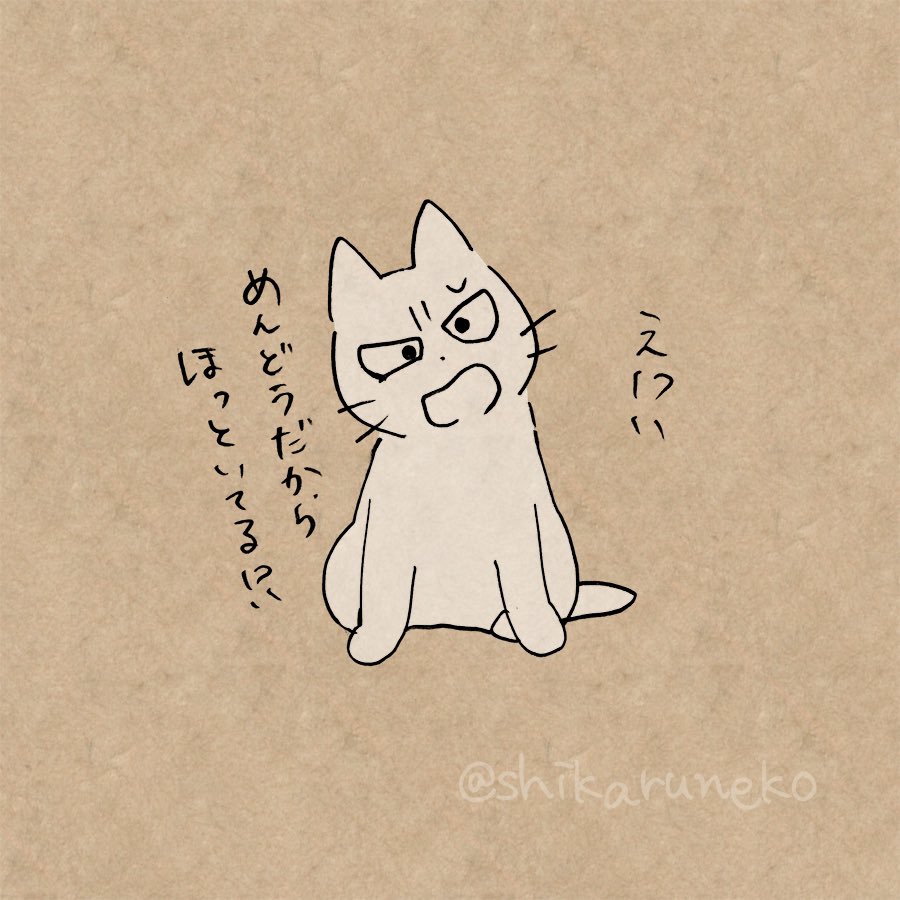 肌が乾燥しているのにそのままにしておく人を叱ってくれる猫 