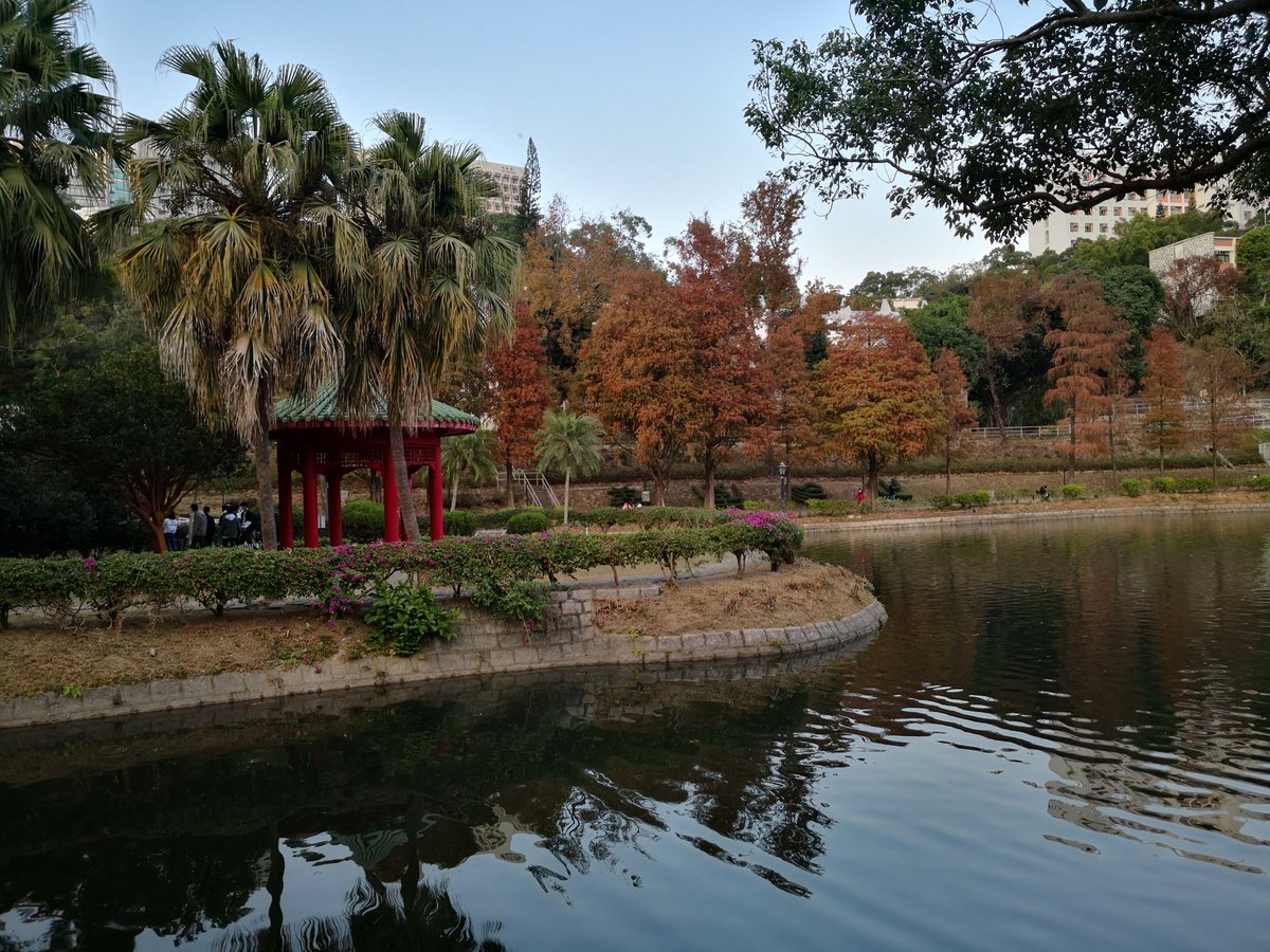 FelixInHK's tweet photo. The Chinese University of Hong Kong #CUHK https://t.co/uVmhbG1rvH