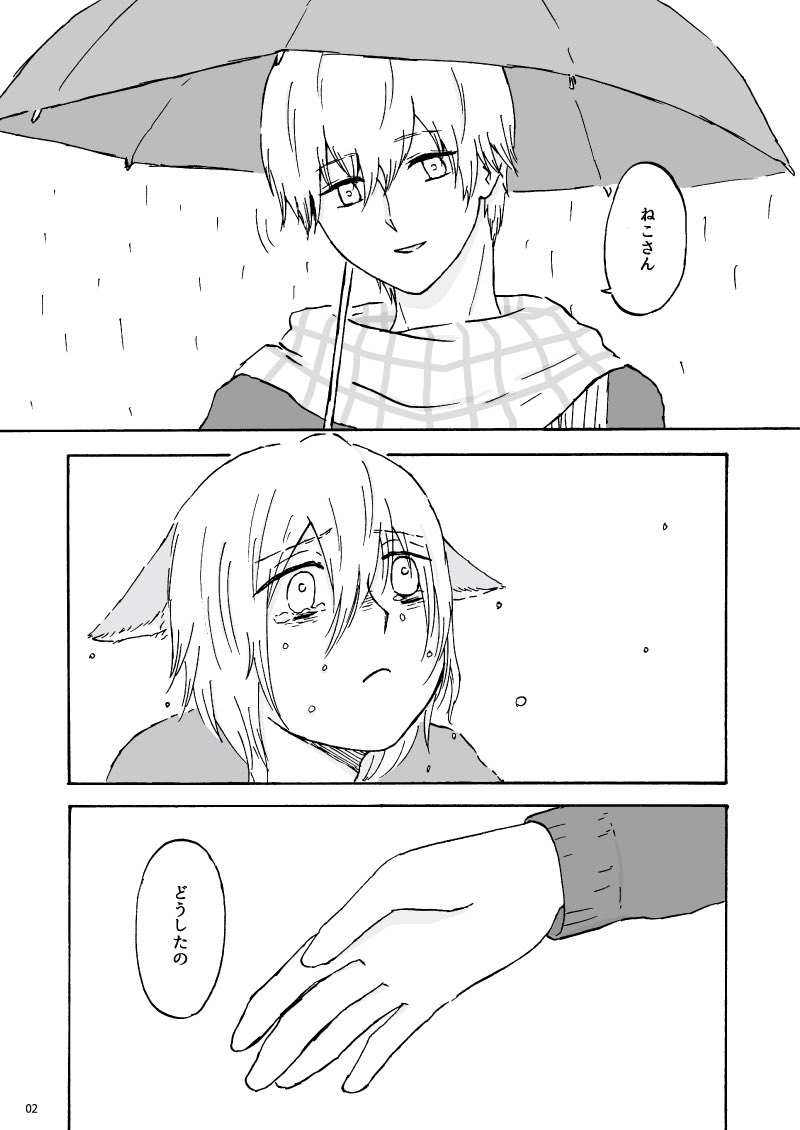 一般人とねこ 
