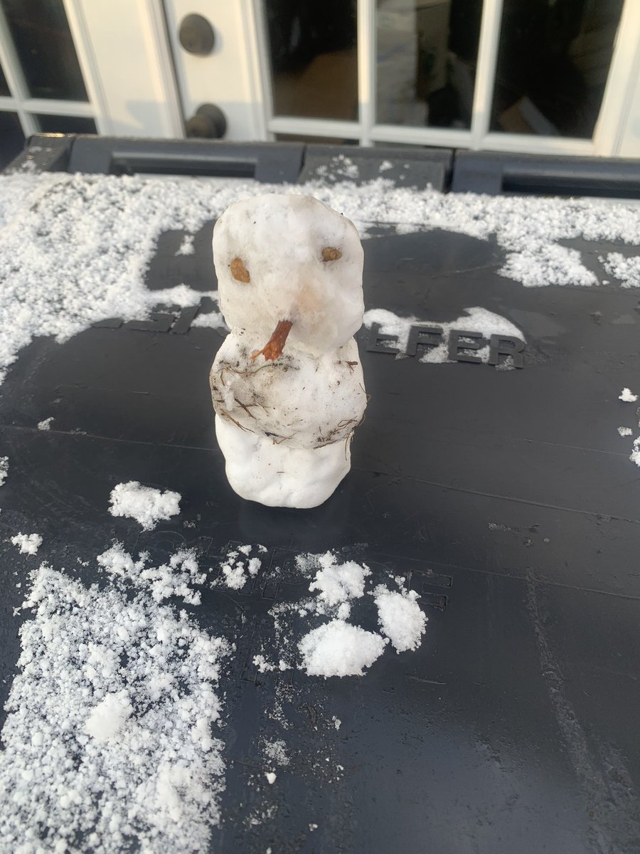 tovaherskovitz's tweet photo. I think the snow is a sign that @JoeBiden will be a good president, said my son this morning as we frolicked in the powdery frost.

I think he’s right.

#hopelessoptimist https://t.co/GmJgYAqxSs