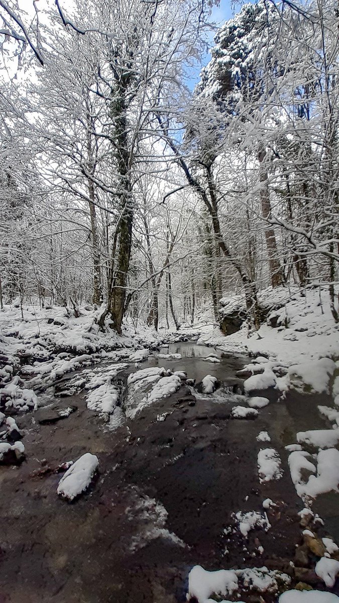 ismail17ida's tweet photo. #Kalkım #Çanakkale #CanonTürkiye #Kazdağları #LiveForTheStory #turkey_home #comeseeturkey #goturkey
#fotograf #withgalaxy #manzara #wonderfuldestinations #destination
#winter #snow #kar #kış #akarsu #şehir
#YenidenKeşfet #farklıbak #ReadyAndSafeTurkey #ReTurkey https://t.co/Wu5JgzgF9h