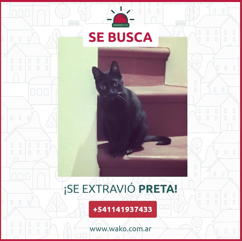 Nunca pensé que iba a tener que publicar esto.
El lunes a la noche se perdió Preta por la zona de Warnes y J. Newbery, La Paternal.
Estamos desoladxs.