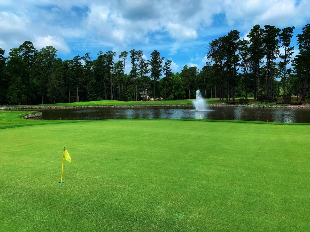 Golf Santee! tweet media