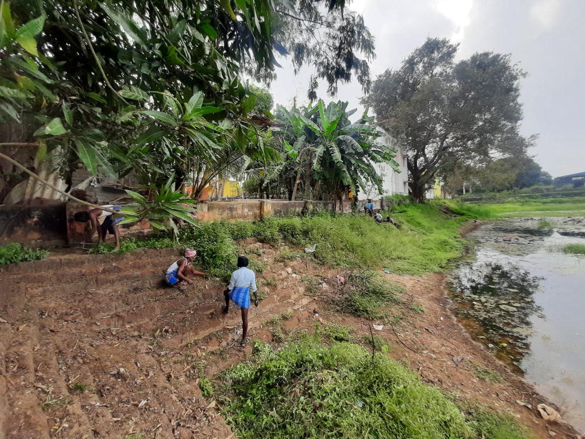 EFIVolunteer's tweet photo. E.F.I's #EcoRestoration Phase II of Agastheeswarar Temple Pond in #Panchetti is now underway!

We thank the Govt. of TN for the administrative support and the Rotary Club of Madhavaram &amp; NADI for the funding support. https://t.co/mufiFBsTkb