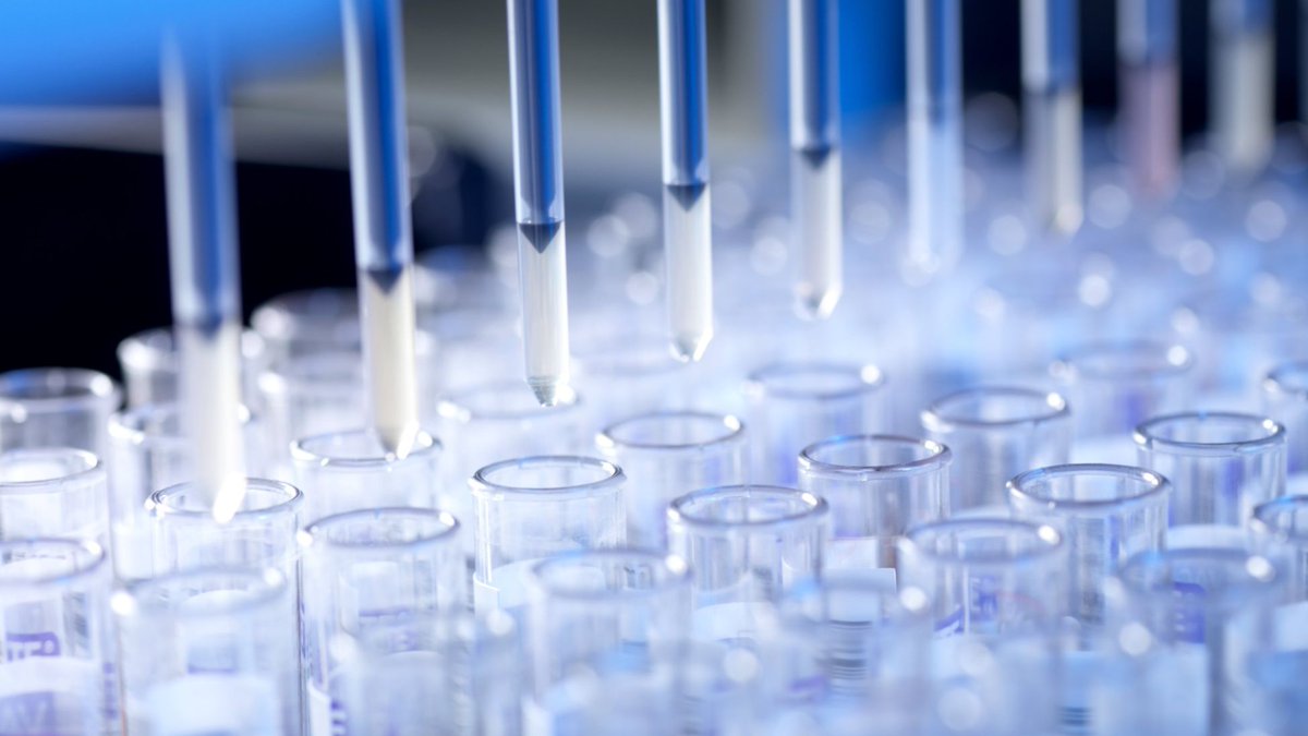 We did it!! Our drug candidate Aqrnp-001 that should allow to increase the efficacy of breast cancer treatment demonstrated promising results in the in vitro experimental studies. It decreased the production of certain proteins directly at the level of RNA by almost 3 times!