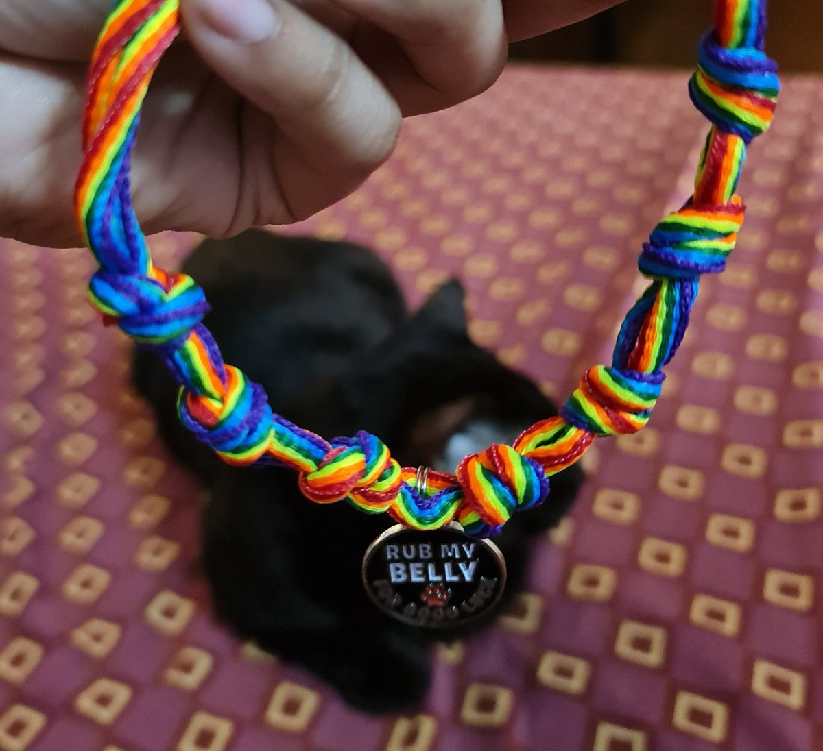 TanginaTibs's tweet photo. Cute ng necklace na ginawa ko for Max. Gamit ko rainbow shoelaces from @nkitorres. ❤ https://t.co/rhmhVIvHQZ