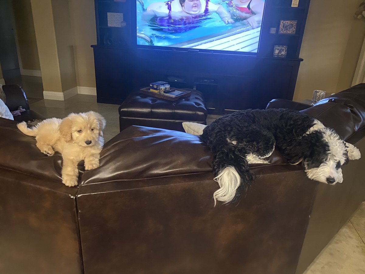 Taylor Pack tweet media