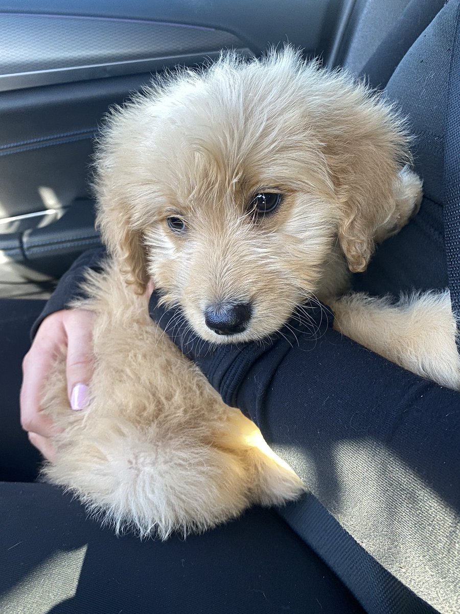 Taylor Pack tweet media