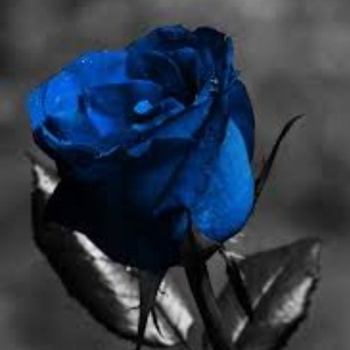 Stand down Prottsie  @DC_Protts.You made a difference to so many people, but your shift is done. You were the best of us. We'll miss you more than you know, but we won't forget you or your work. #Ends #ThinBlueLine  #RestInPeace  #cancercop  #bowelcancer  @bowelcanceruk  #stoma