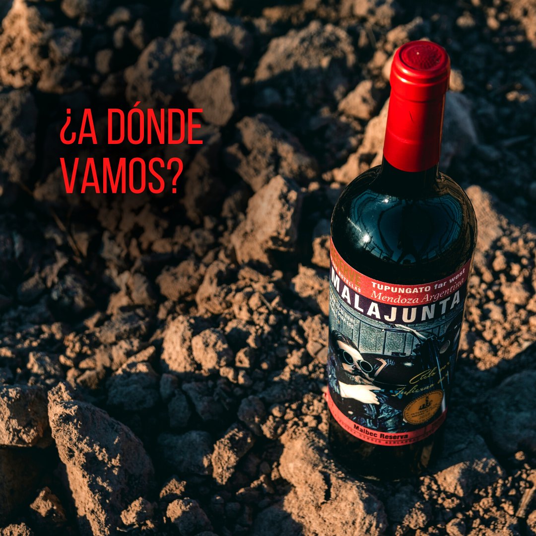 MALAJUNTA siempre te manda a los mejores lugares 🍷😎

#vinodealtura #vino #vinoteca #vineria #vinosylicores #wine #asado #amigos #mendoza #vinomendocino #vinoargentino #winelife #malbec #winelovers #malajuntawine #verano2021