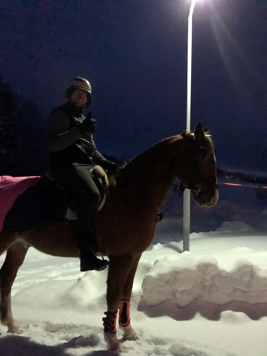 Jaha nu blev jag väl av med en av ridhästarna 🙈 Björn var lika glad efter ridturen med Riggo som jag brukar vara 🥰😍🤩 #rigoletto #teamkarlsson #swbsåklart #21yo #proffstränareitrav #ridning #dressyr #nykarriär #trav #gillahäst #älskarhästar