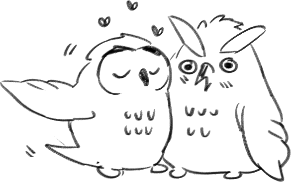 owls 