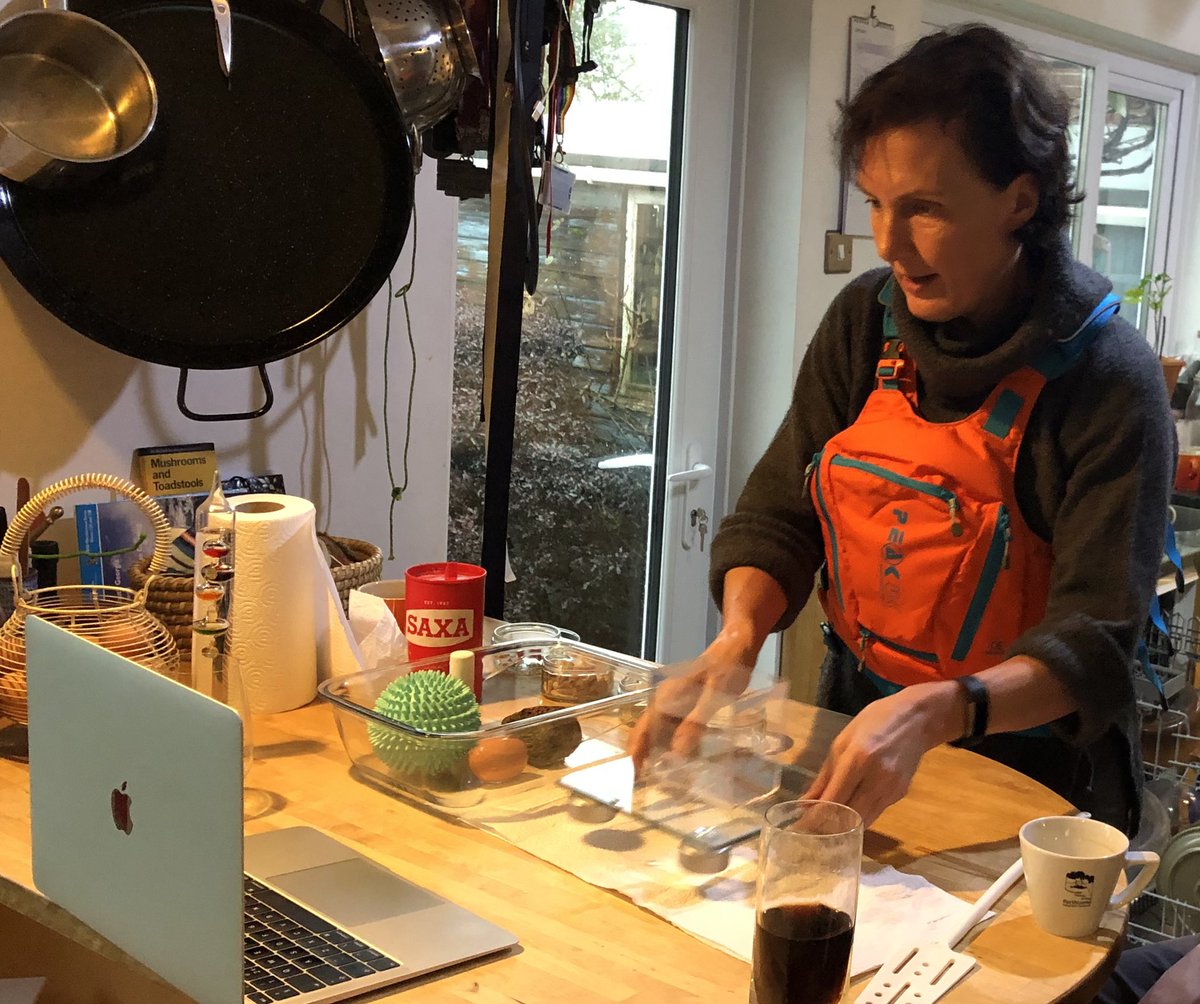 RachelAnnMills's tweet photo. Home schooling with my nieces #OceanScience #DoesItFloat? Respect to you parents that do this every day 😀😘 https://t.co/Bp8kQE0ZRR