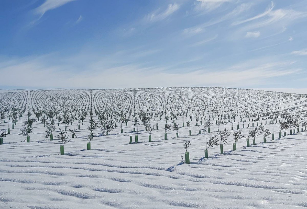 ModpowAgritech's tweet photo. La borrasca #Filomena ha dejado fuertes #nevadas❄️y temperaturas muy bajas en gran parte de nuestro #territorio. Muchos ánimos a todos los afectados👩‍🌾. https://t.co/LpnSvIFLLC