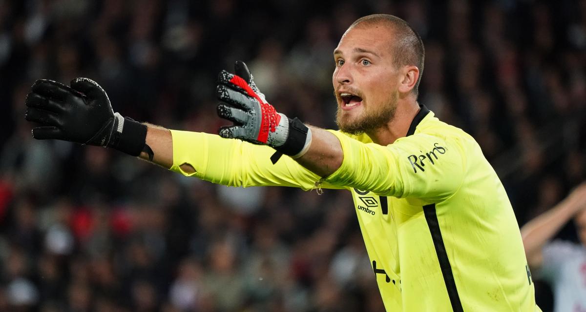 He was the best GK In Ligue 1 Last season, where he got 12 Cleansheet's in 27 Games and just conceded 18. He is really good on the line, but also good off the line, good with his feets, better at goal kicks than Bürki, overall more modern and complete, + good positioning. (20%)