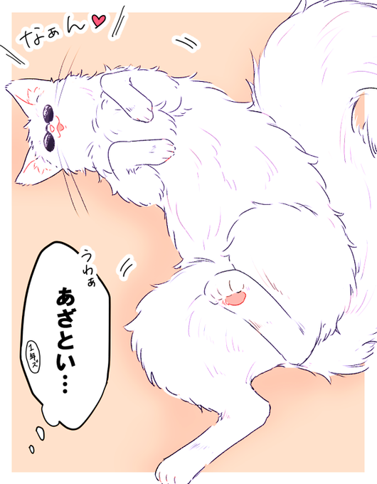 先日五猫描こうとして妖怪を生み出してしまったのでネチコヤンver。きっとあざとポーズきめてくれる 