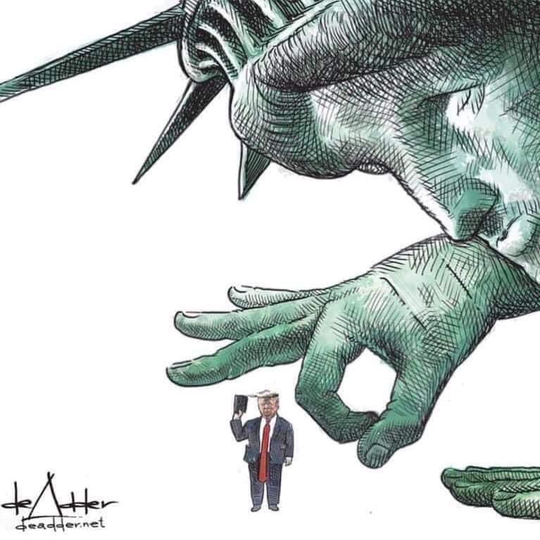 Mike Honig tweet media