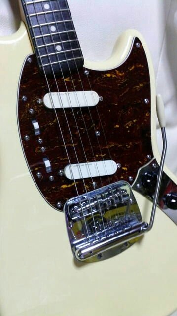 telecabronita's tweet image. #お前ら自分のギターで特に自慢の部分貼れよ
レースセンサーズ

・ムスタング=ゴールド2発
・ストラト=ゴールド3発＋ミッドブースト
・テレキャス=Fブルー、Rレッド

#LaceSensor #Fender #Squier