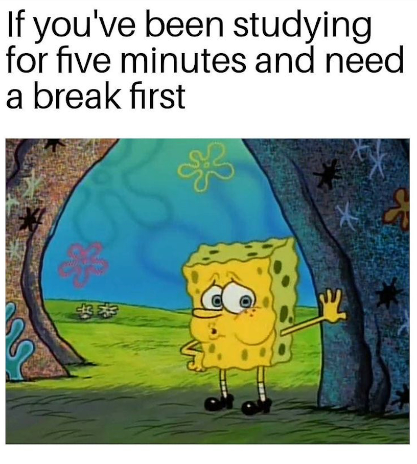 Feeling like this more often? We hear you. Studying remotely can be hard, especially when you're apart from others. Here at Tupear we want to help you nail those deadlines and say BYE to procrastination! 👋 #tupear #study #procrastinationnation