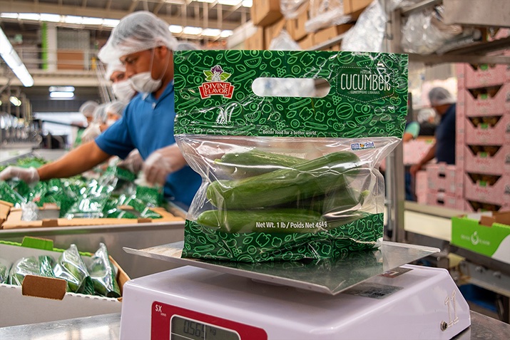 foodanddrinktec's tweet photo. Divine Flavor, grower-owned distributor of fruit & veg, has adopted StePac’s new standing pouches - high-performance resealable bags crafted with StePac's proprietary Xgo advancedMA/MH technology. https://t.co/C7GydrbhKw @Divine_Flavor #StePac #freshproduce #resealablepackaging https://t.co/aZ2aAo6ADM