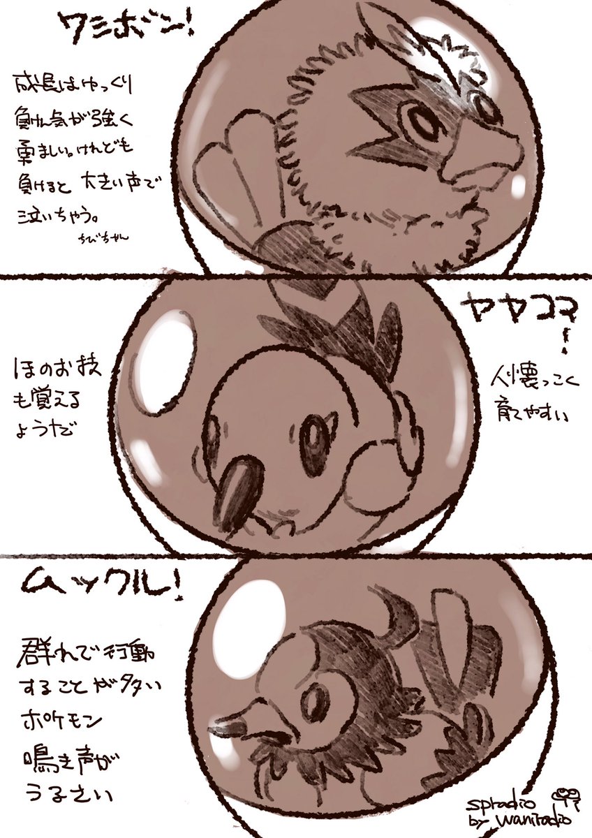 ある新人とりつかいの話
#ポケモンと生活 