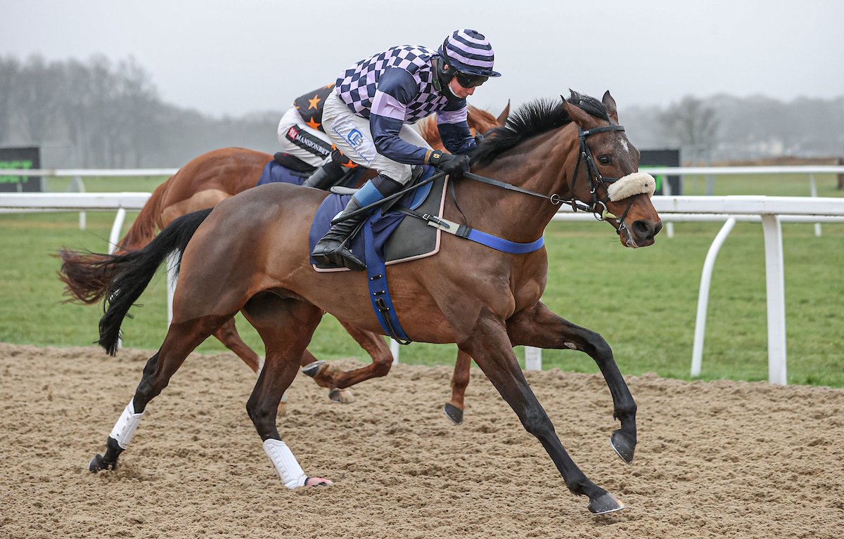 Argonauta and @StanSheppard9 took the win in our first race of the day, the @Quinn_Bet Live Casino 'Newcomers' Standard Open NH Flat Race, for @tflacey 👏🥇🏇 📸: @grossickphoto