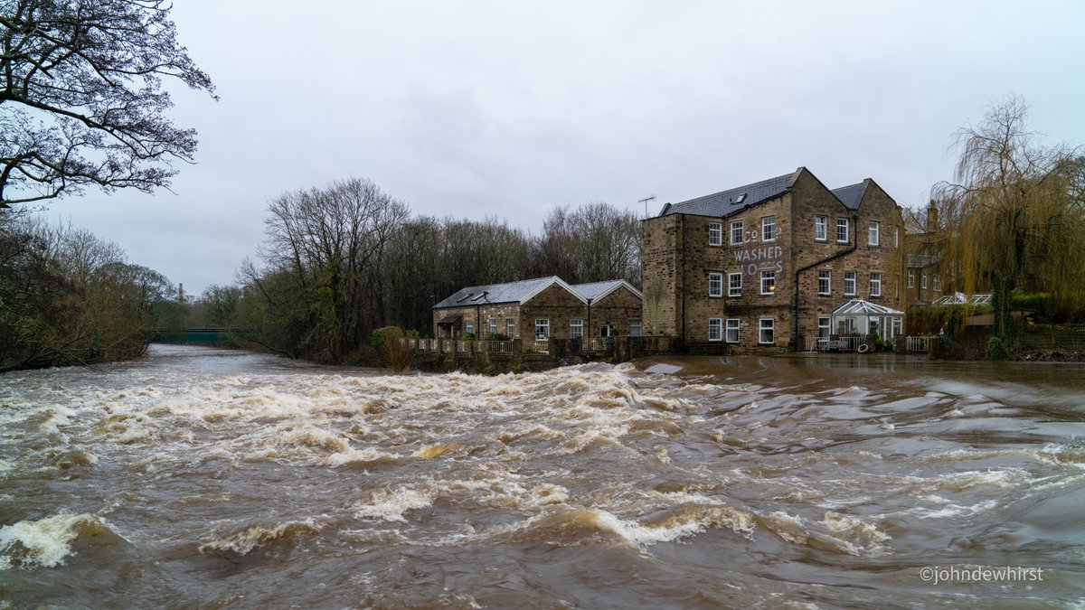 johndewhirst tweet media