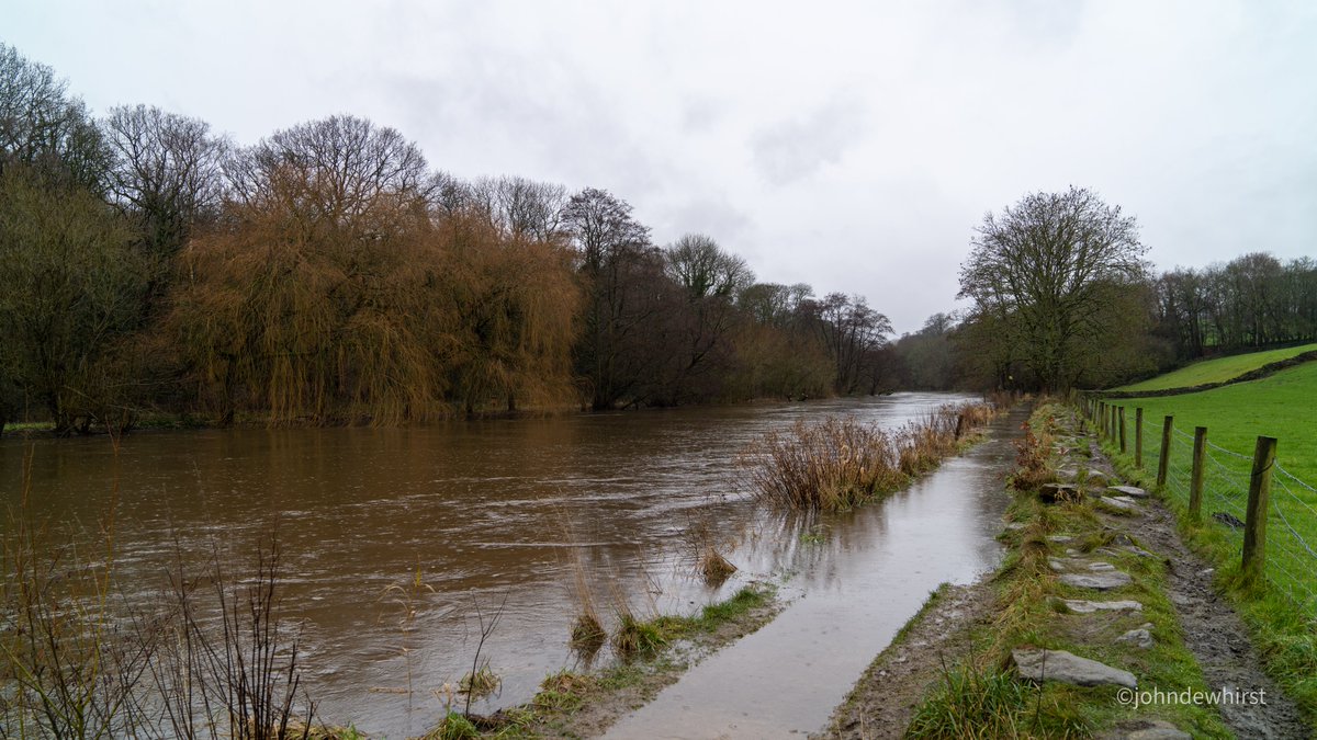 johndewhirst tweet media