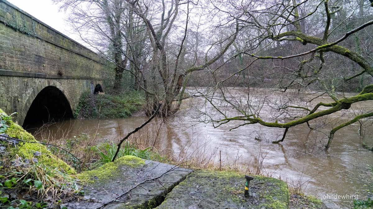 johndewhirst tweet media