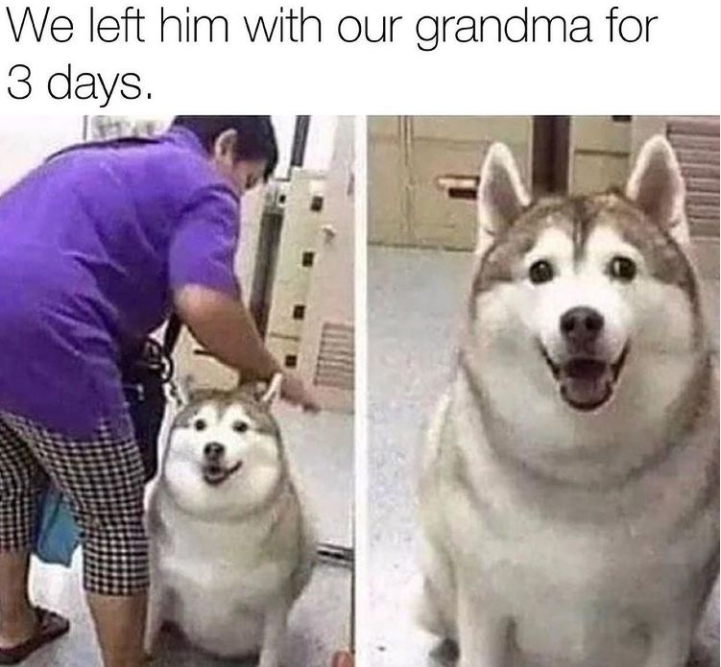 CrossPeak's tweet photo. Grandma's love. 🥰 https://t.co/Dn3BULbUyo