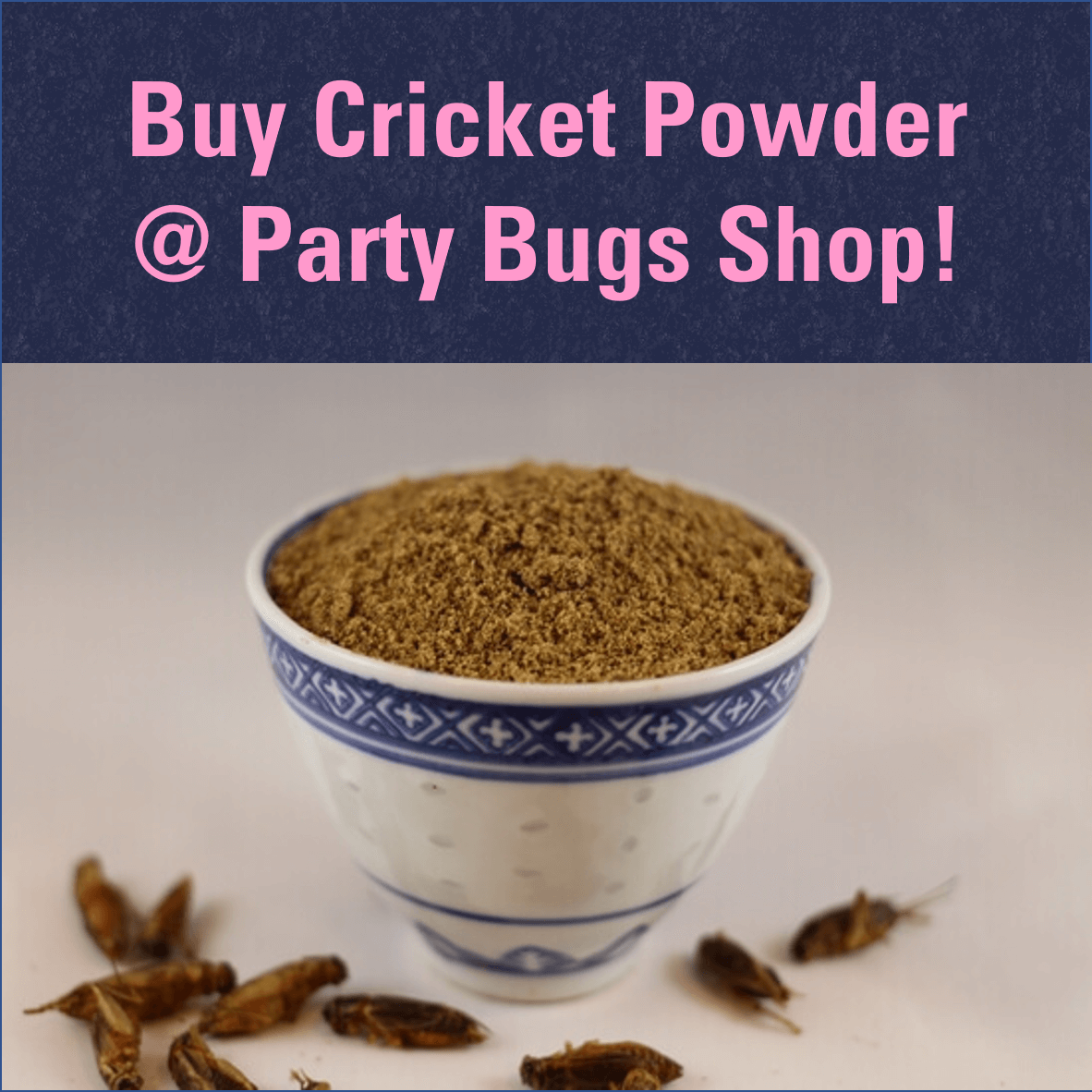 World's best tasting cricket powder from Party Bugs Shop!

#eatingbugs #eatinginsects #eatinsects #edibleinsects #entomophagy #entomofagia #insektenessen #insektensnack #insectsnack #insectescomestibles #mangerdesinsectes #partybugs #partybugssnacks #partysnacks #snackinsects
