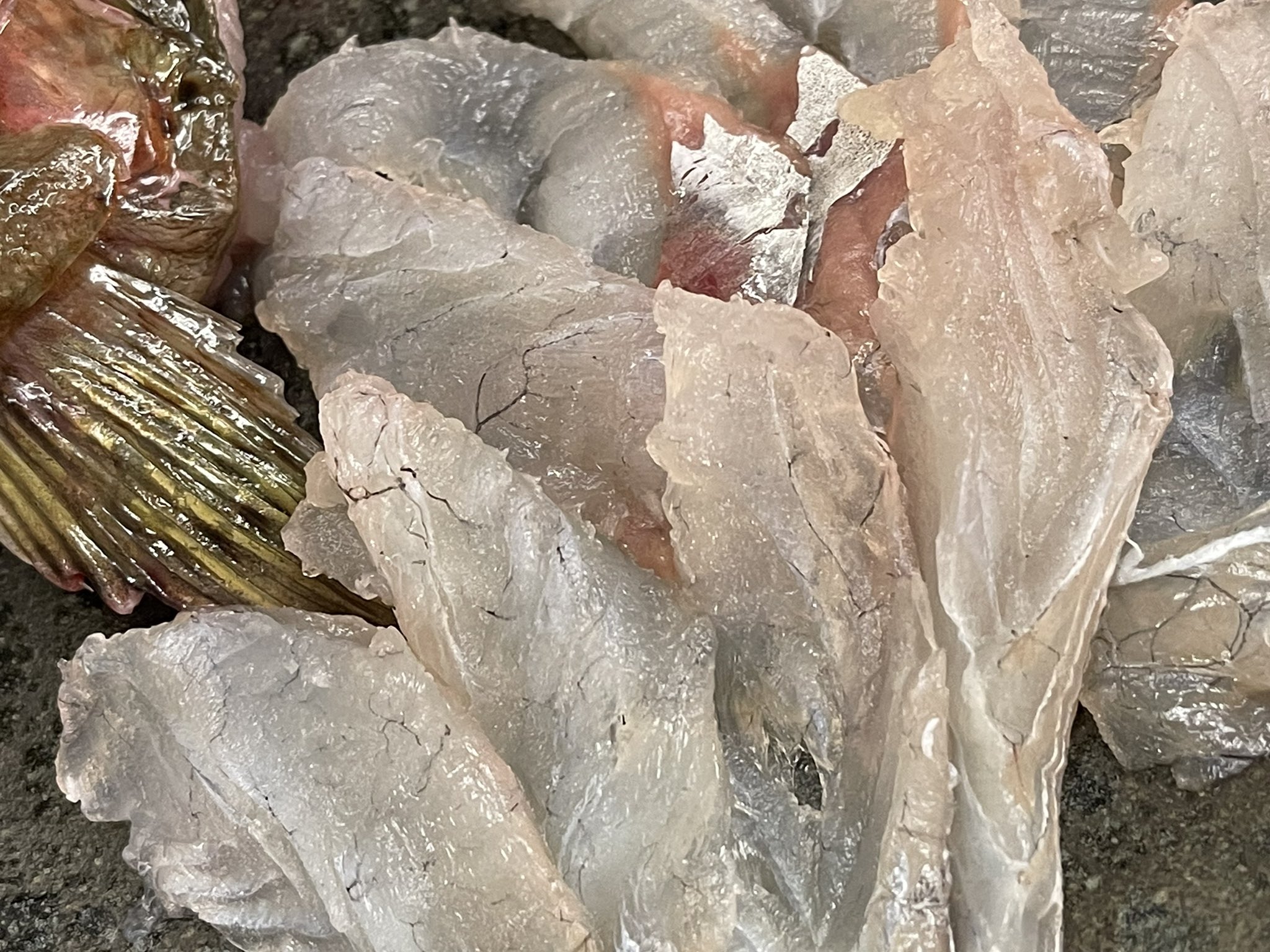松庄なう 明石 魚の棚 イネゴチ ちなみにマゴチは高級魚 同じコチでも別物 雑魚 外道 色物と呼ばれる部類の魚 刺身にしてみた お なかなかいける 雑魚は見た目以上に美味しい魚がけっこうある しかも激安の魚が多い 見た目と中身は 松庄なう 明石 魚の棚 イネゴチ ちなみにマゴチは高級魚 同じコチでも別物 雑魚 外道 色物と呼ばれる部類の魚 刺身にしてみた お なかなかいける 雑魚は見た目以上に美味しい魚がけっこうある しかも激安の魚が多い 見た目と中身は