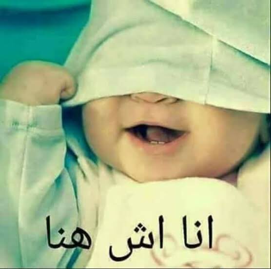 mohamedadelam's tweet photo. تالت حادثة تحرش لعمرو ورده:
قيم الأسرة المصرية: https://t.co/3572uiqMUR