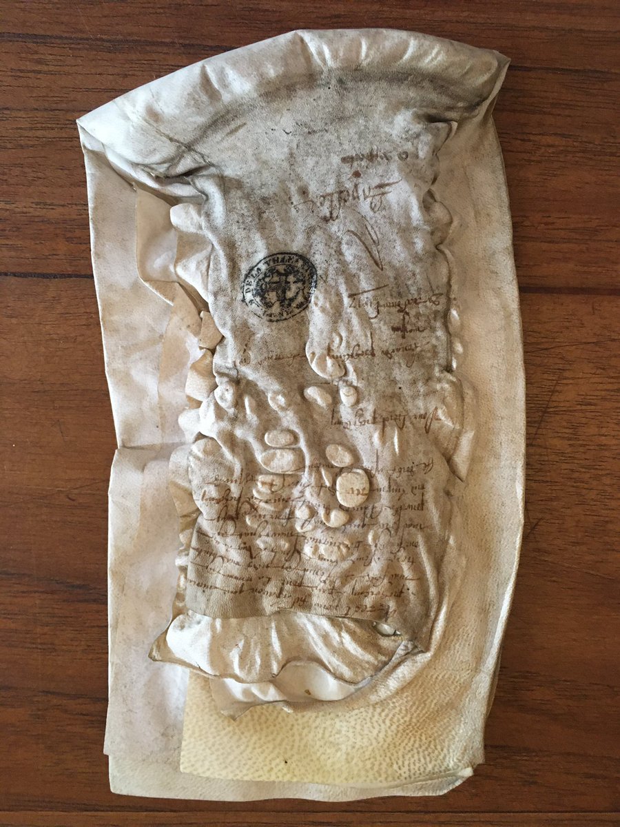 ana_strl's tweet photo. Stumbled upon the strangest looking manuscripts in the Marseille’s communal archive today (do they have bubos?) #earlymodernthings https://t.co/WuehG3rJ5f