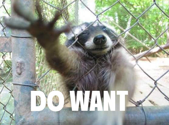 Ferrofish tweet media