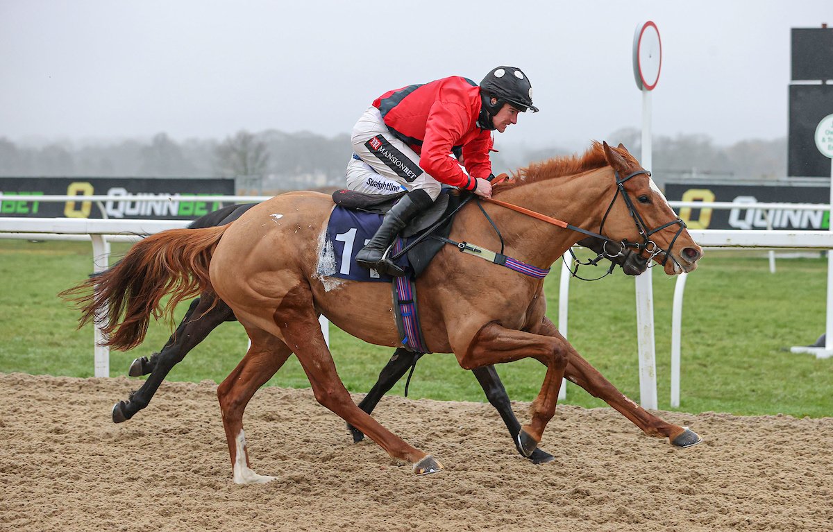 RACE 2 RESULT – @Quinn_Bet Best Odds Guaranteed Mares' Standard Open NH Flat Race 🥇Susie Mac 🥈Bella Bluesky 🥉Get Sky High Jockey: Brian Hughes Trainer: @gillian_boanas Owners: T C Dawson 📸: @grossickphoto