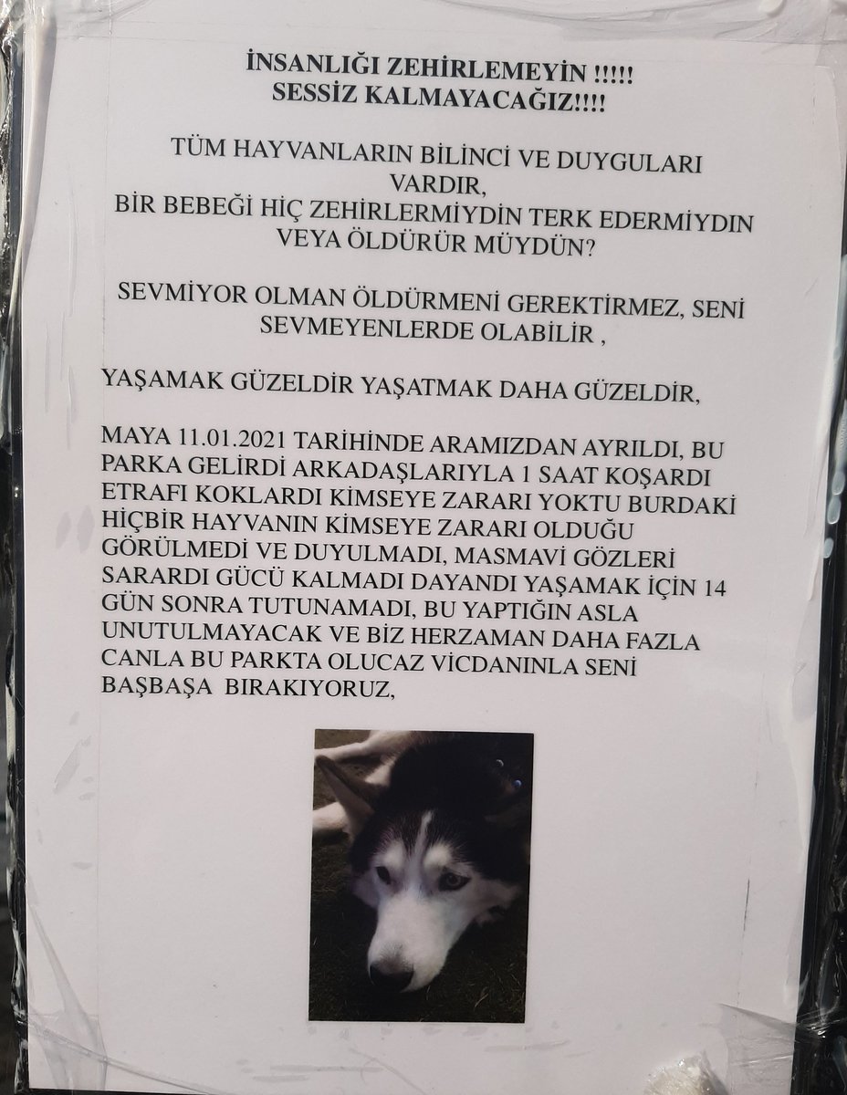 Yıllarca kızımı dolaştırdığım parkın girişinde bu yazıyı görüp kahroldum. Bu ve bunun gibi katiller ellerini kollarını sallayarak dolaşıyor ve buna dur diyecek kimse çıkmıyor. Ne acı.